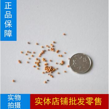 �׽��ӷN��