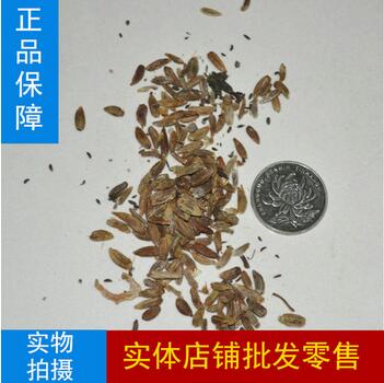 ���g�N��