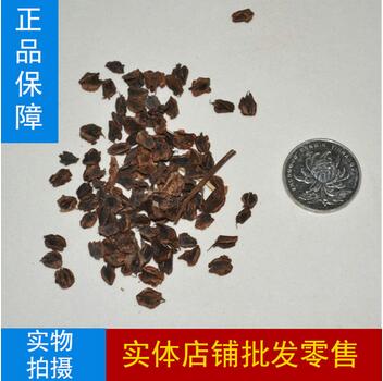 ���S�N��