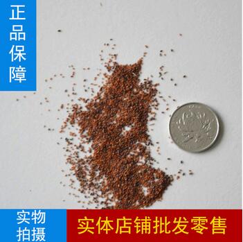 �h���N��